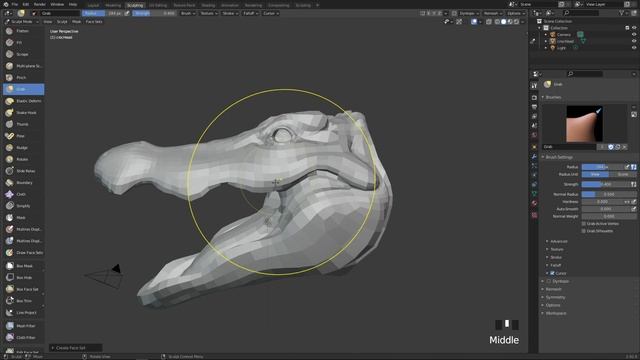 11_faceSets