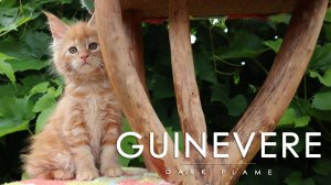 Guinevere Dark Flame