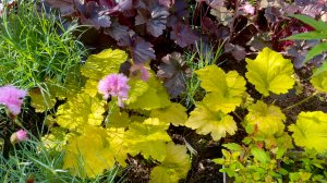 Продажа растений из своего сада. Нюансы, плюсы и минусы.