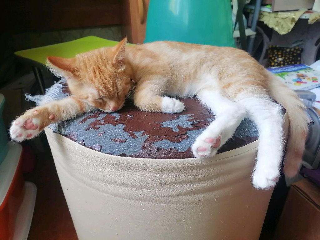 Как я играю в разные игры смотреть онлайн