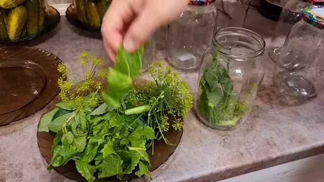 квашеные огурци