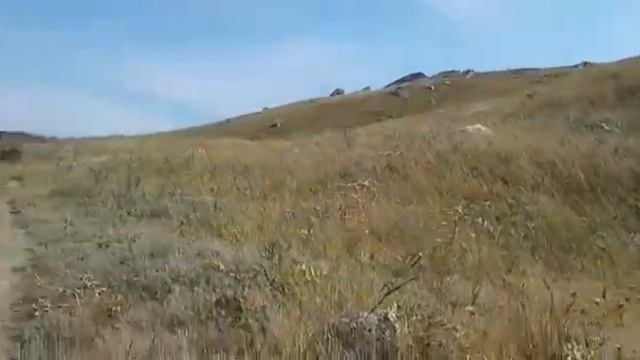 28 сентября 2019 г. смотреть онлайн
