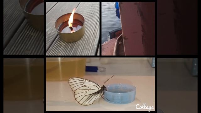 ПРИРОДА🦋🔥 смотреть онлайн