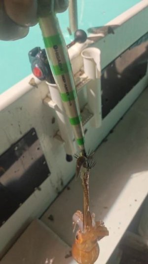 Ловим кальмар на воблер  26гр HIGASHI Deep Hanter