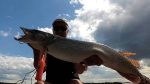 МОЙ РЕКОРД! ТРОФЕЙ! Жуткая поклёвка в ломовом коряжнике! Трофейная рыбалка на Оби