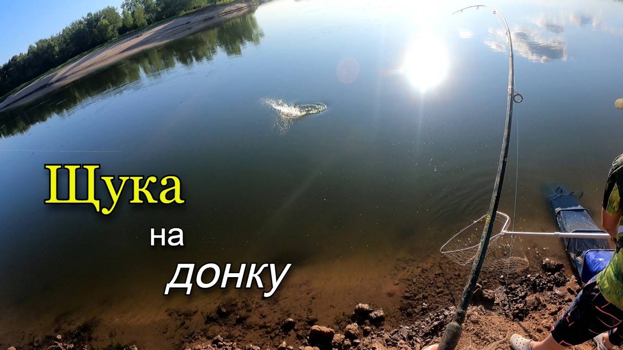 Поклевки щуки на донки. Рыбалка летом на реке Ахтуба смотреть онлайн