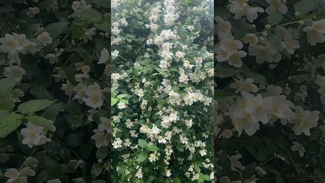 С ЧЕГО НАЧИНАЕТСЯ УСПЕХ ? #УСПЕХ В ДЕЛАХ