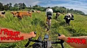 200км по Грунтам. Гревет Восточный 12.07 с Караван-Рандоннёр