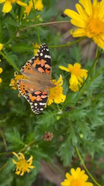 Доброе утро 🌄