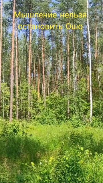 (13) Мышление нельзя остановить Ошо смотреть онлайн