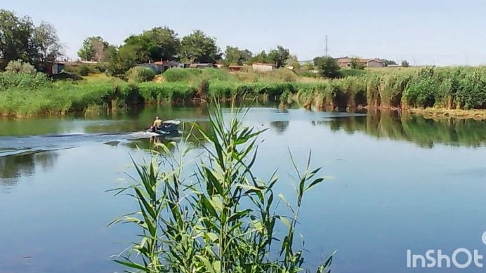 МОРОЖЕНОЕ КАК ОАЗИС В ЖАРУ/СНОВА В ПОХОД ЗА СМОРОДИНОЙ/НЕБОЛЬШИЕ ПОКУПКИ смотреть онлайн