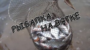 Рыбалка на Вятке