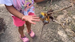 Еще мистики в нашей жизни не хватало. Зачем сразу идти в ювелирку? Вагатор, Чапора