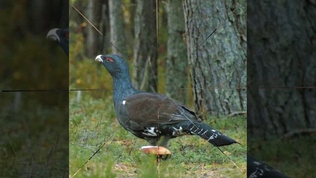 Это интересно-31