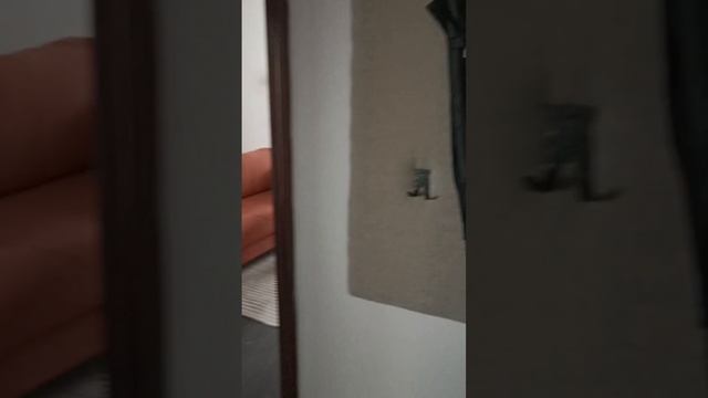 177 проф видео смотреть онлайн