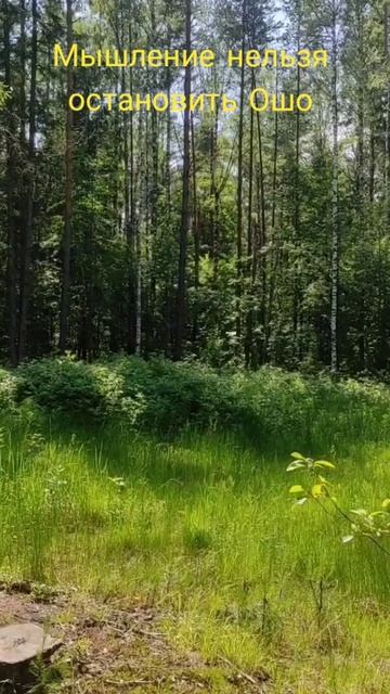 (15) Мышление нельзя остановить Ошо смотреть онлайн