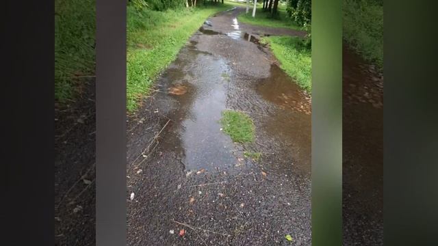 После ливня .mp4 смотреть онлайн