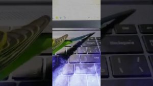 Кеша и компьютер