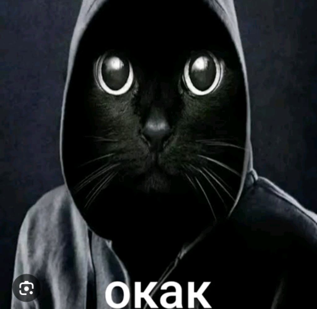 окак смотреть онлайн