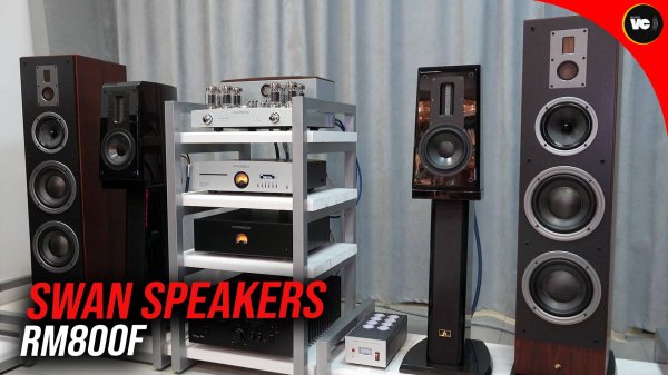 Обзор акустики Swan Speakers RM800f