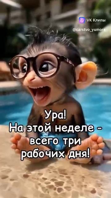 Домер и Зени перезалив