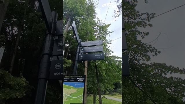 Квартира на первой линии в Светлогоргорске