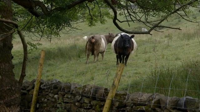 24 hours as an English Farmer смотреть онлайн