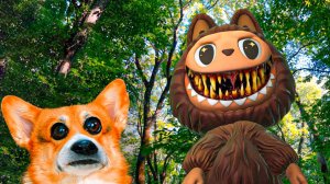 МЕГА ЛАБУБУ СОЖРАЛА НАШИХ ПОДПИСЧИКОВ!! Корги Кекс Говорящая собака