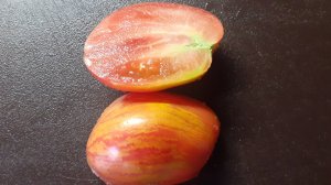 15.07.2025 Первый томат... Лидером оказался сорт Дон Жуан.