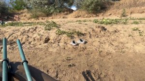 Ахтуба! Рыбалка отдых 🙌 2025