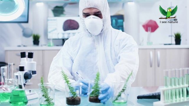 Что такое биология? смотреть онлайн