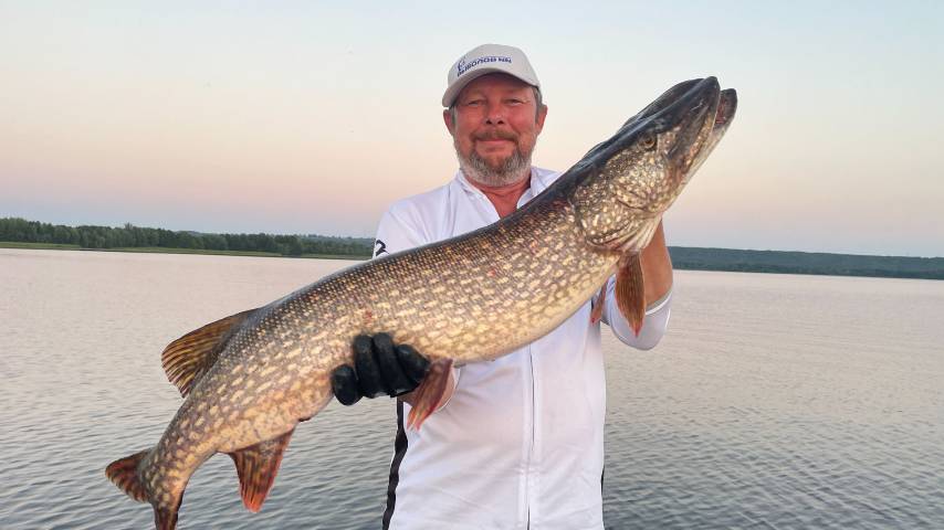 Жаркие выходные в Разнежье. Берш, судак, щука.