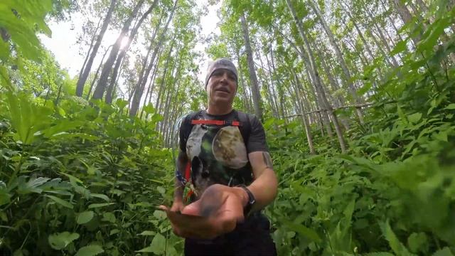 Хардтрейл по Камчатке. Сосновский водопад. Трейлраннинг