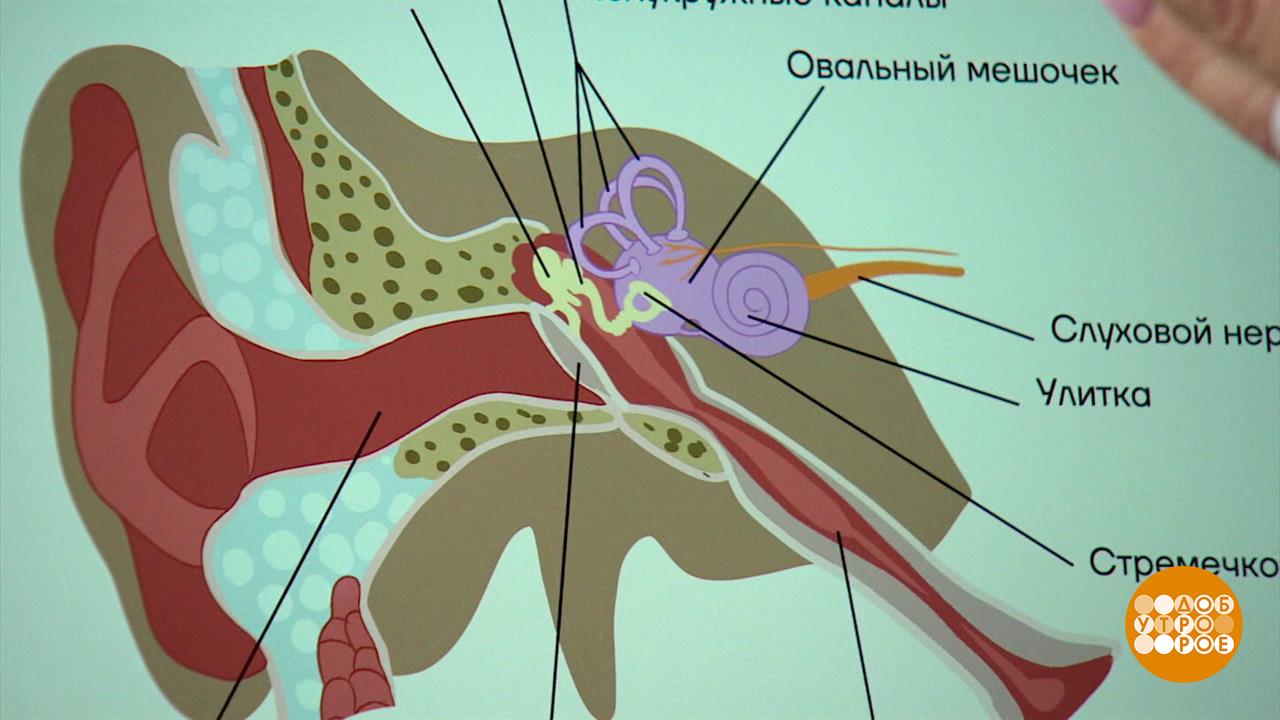 Почему в самолете закладывает уши? Доброе утро. Фрагмент выпуска от 15.07.2025 смотреть онлайн