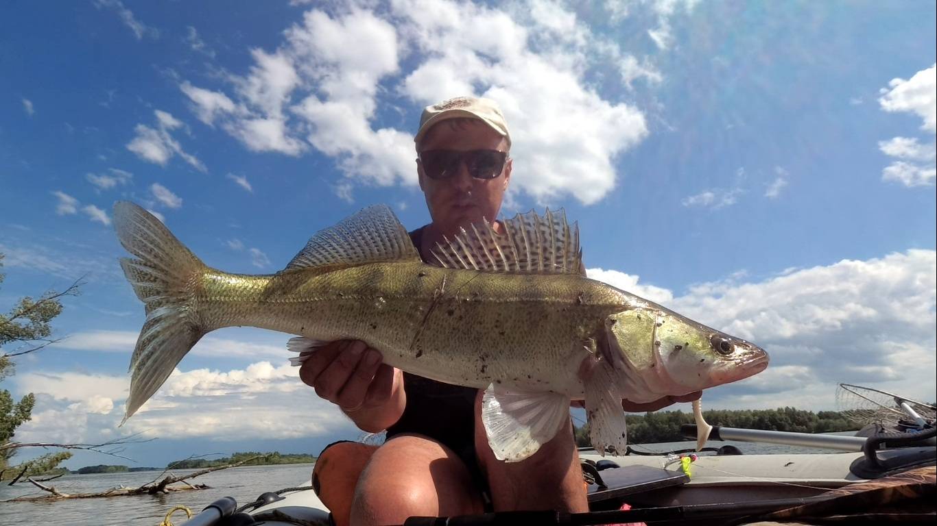 Поклёвка крупного СУДАКА ОБЬ смотреть онлайн