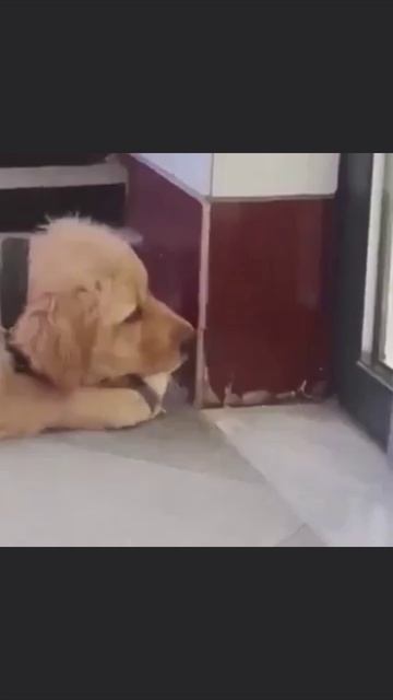 Подстава смотреть онлайн