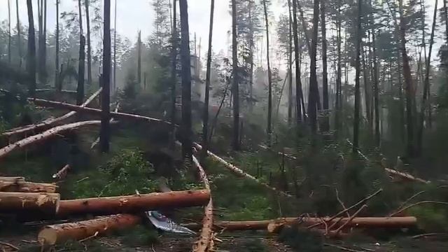 Последствия урагана в Республике Алтай смотреть онлайн