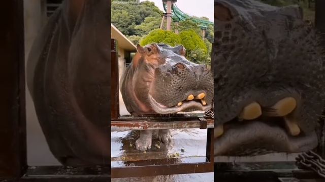 Удивительное рядом.mp4 смотреть онлайн