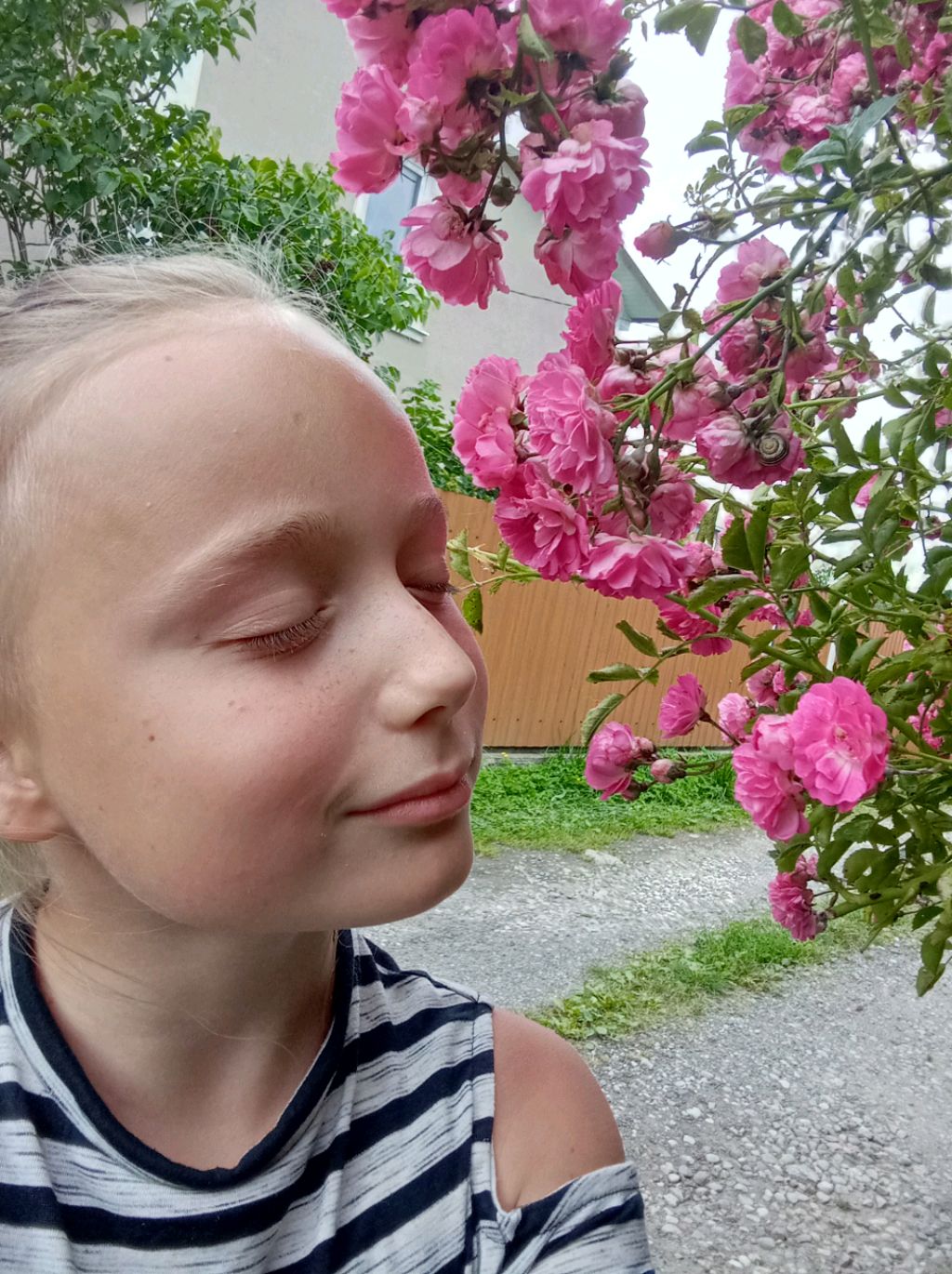 гуляю смотреть онлайн