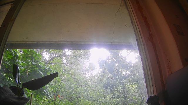 Наконец-то дождь!