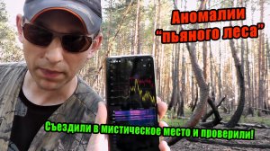 Выпуск 195. ШОК! ТЕХНИКА ГЛЮЧИТ в Пьяном Лесу. Доказательства Посадки НЛО? | Аномальная Зона Россия