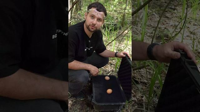 Яичный эксперимент с ящиком INFORCE смотреть онлайн