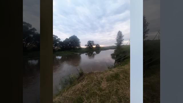 Река Протва разлилась после сильных ливней.mp4 смотреть онлайн