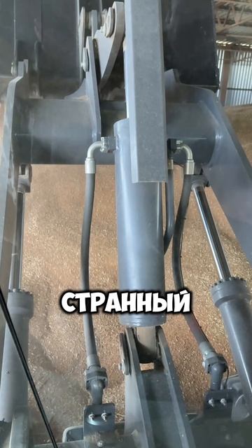 Рабочие будни?! #жиза #жизнь #личность #влог #этожизнь #повседневнаяжизнь #лайфстайл #мотивация