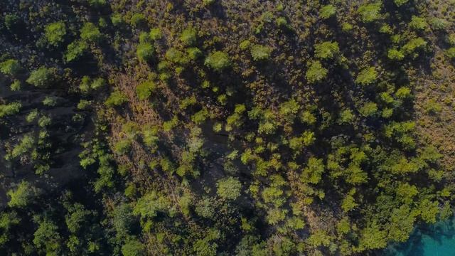 Природа релакс видео - красивые аэросъёмки моря, побережья и природы смотреть онлайн