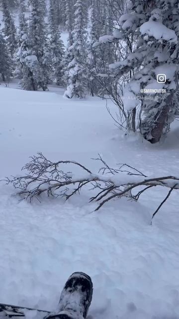 Сезон все ближе ✊🏻 #приисковый #фрирайд #горы #снег