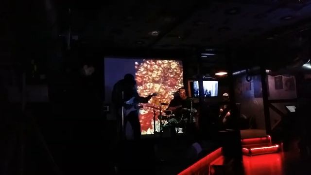 Владимир Рацкевич 2017-05-30 Фрагмент концерта смотреть онлайн