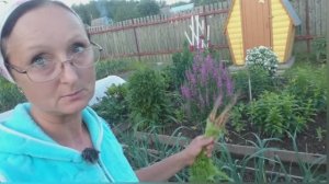 Видео привет с 6 соток 11 июля 2025 года.