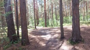 Кривинский сосновый бор.Озеро Тагарское.Минусинск