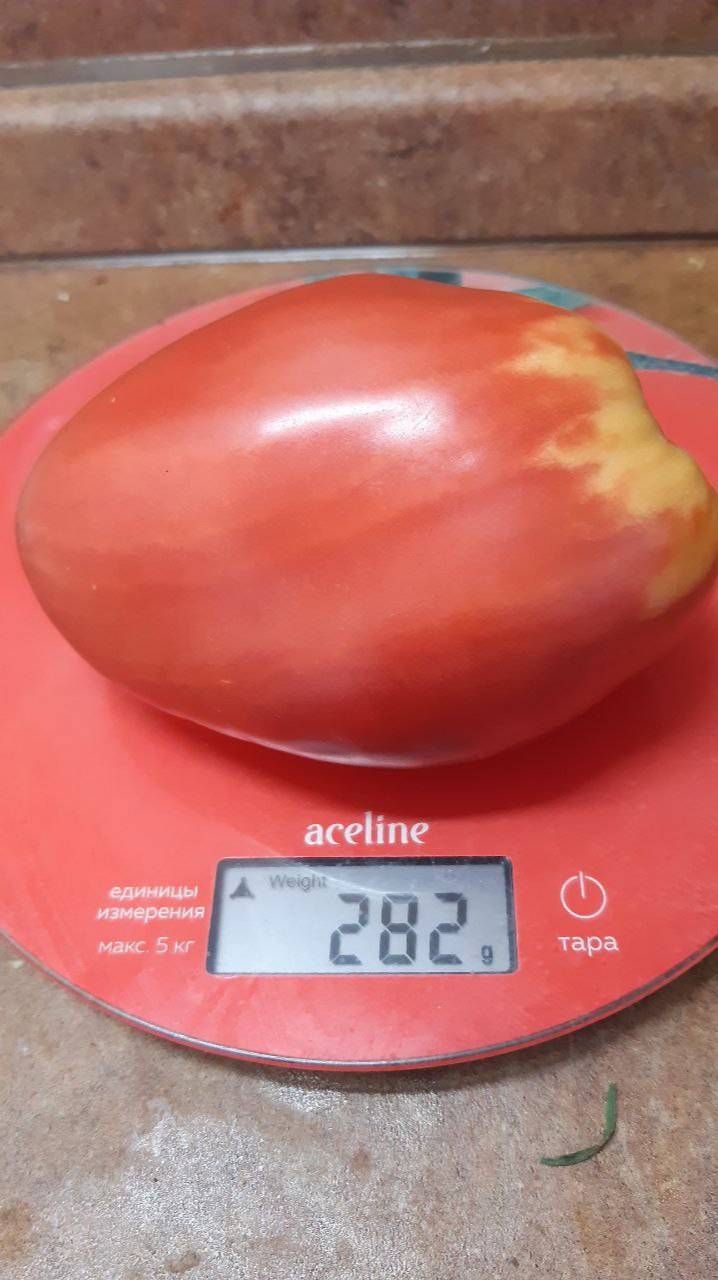 ТОМАТ ПОЛИЦИЯ 29 смотреть онлайн